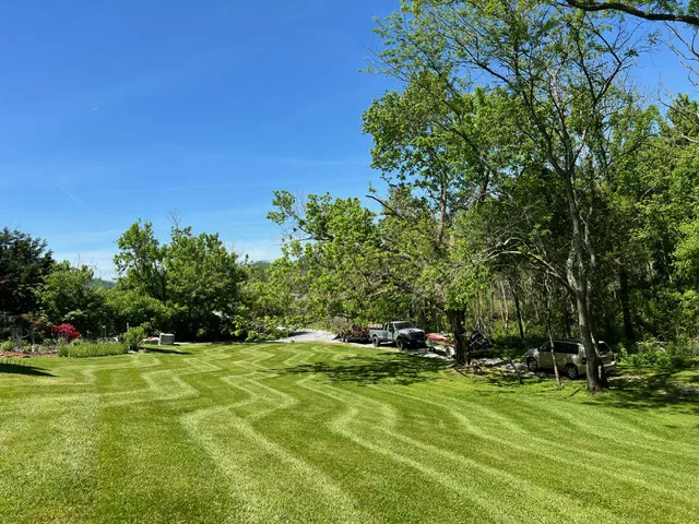 mowed grass